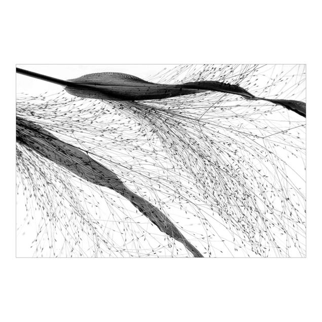 Wallpaper - Delicate Reed With Small Buds Black And White