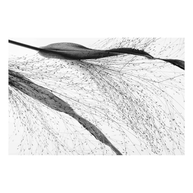 Glass print - Delicate Reed With Subtle Buds Black And White