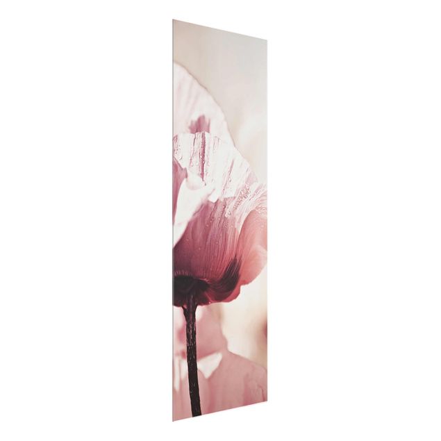 Glass print - Pale Pink Poppy Flower With Water Drops