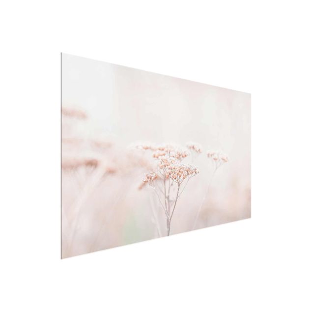 Glass print - Pale Pink Wild Flowers
