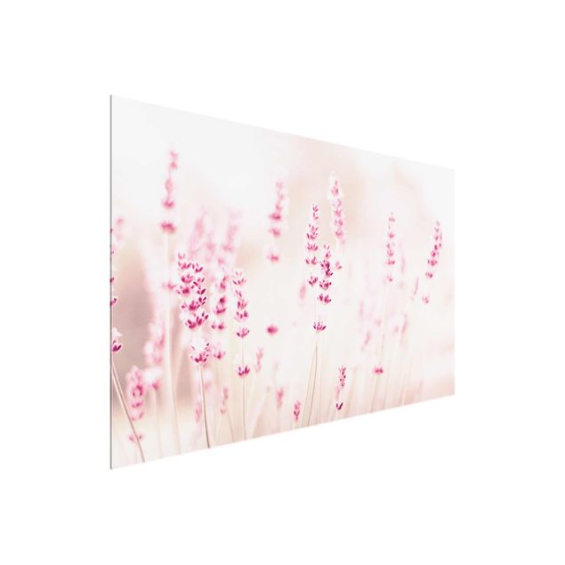 Glass print - Pale Pink Lavender