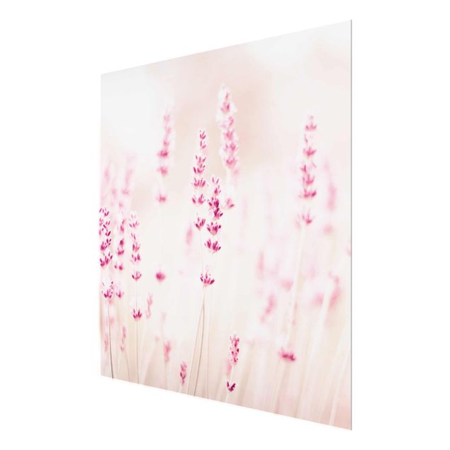 Glass print - Pale Pink Lavender