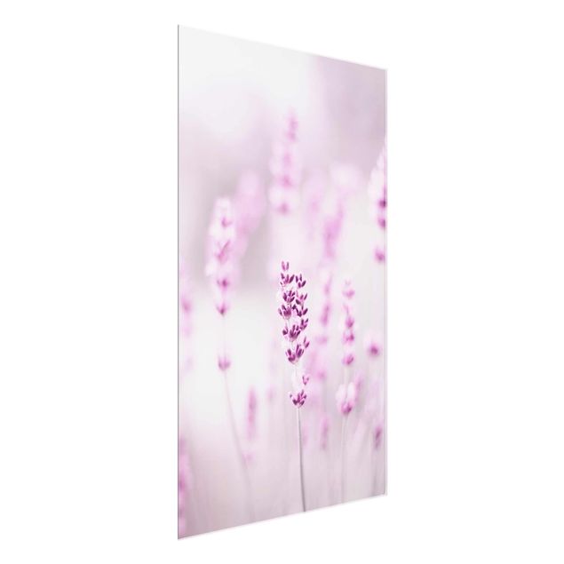 Glass print - Pale Purple Lavender