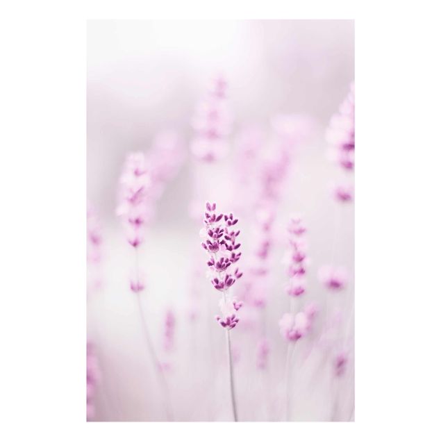 Glass print - Pale Purple Lavender