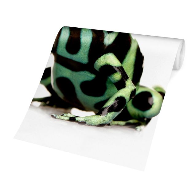 Wallpaper - Zebra Frog