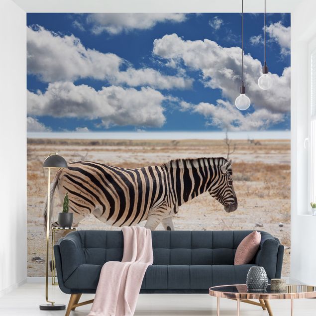 Wallpapers Zebra In The Savannah