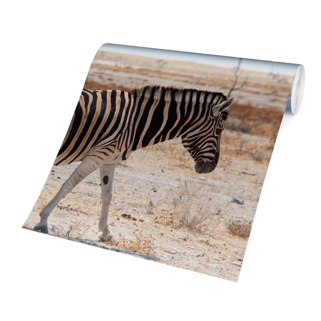 Wallpaper - Zebra In The Savannah