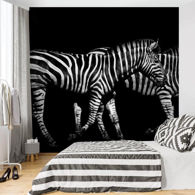 Wallpaper - Zebra In The Dark