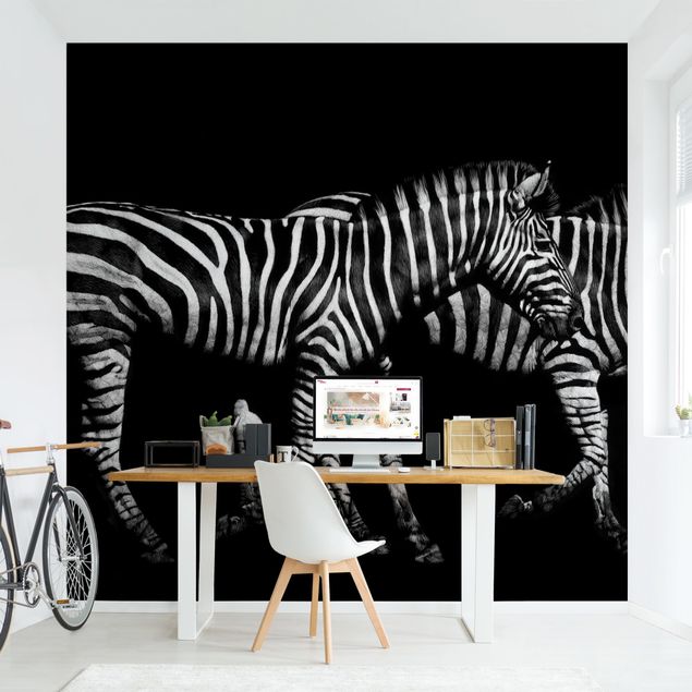 Wallpaper - Zebra In The Dark