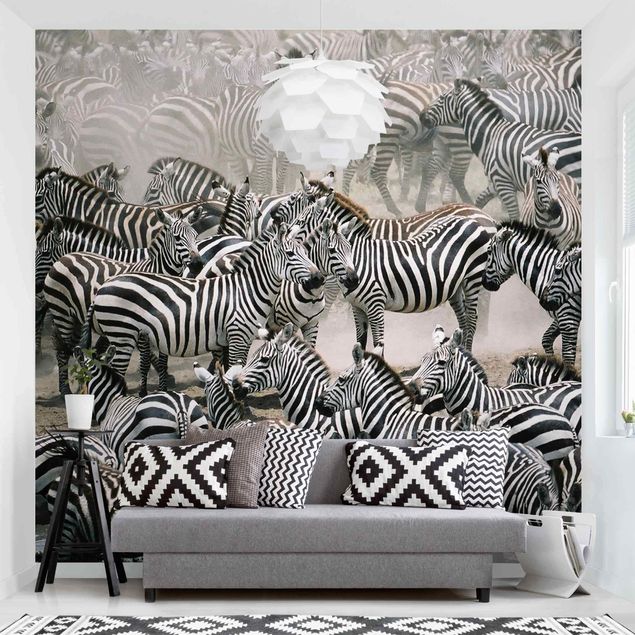Wallpaper - Zebra Herd