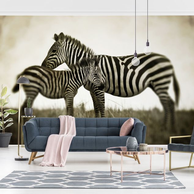 Wallpapers Zebra Couple