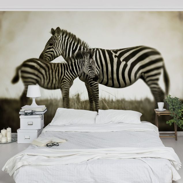 Wallpaper - Zebra Couple
