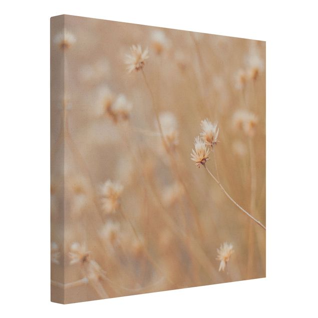 Natural canvas print - Delicate Grasses - Square 1:1