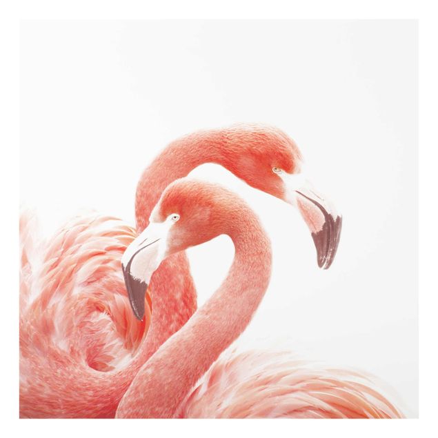 Glass print - Two Flamingos