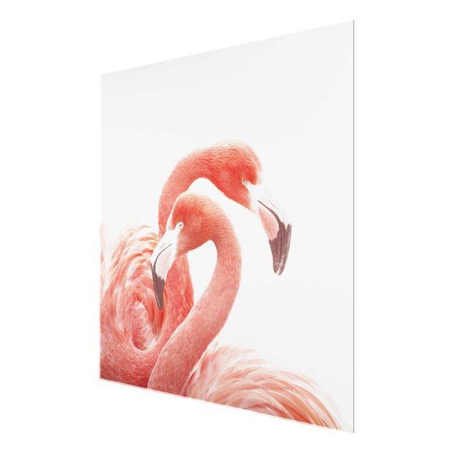 Glass print - Two Flamingos