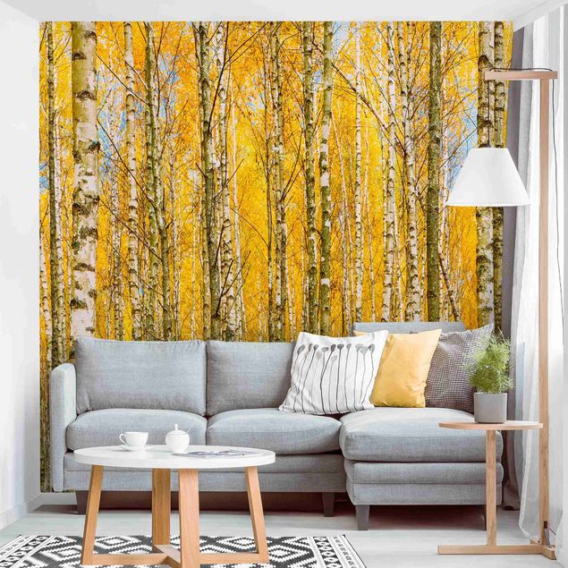 Wallpapers Between Yellow Birch Trees