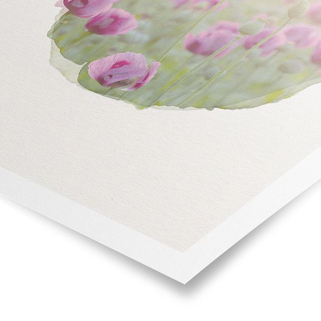 Poster - WaterColours - Violet Poppy Flowers Meadow In Spring
