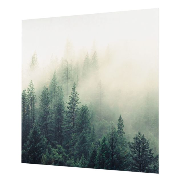 Splashback - Foggy Forest Awakening - Square 1:1