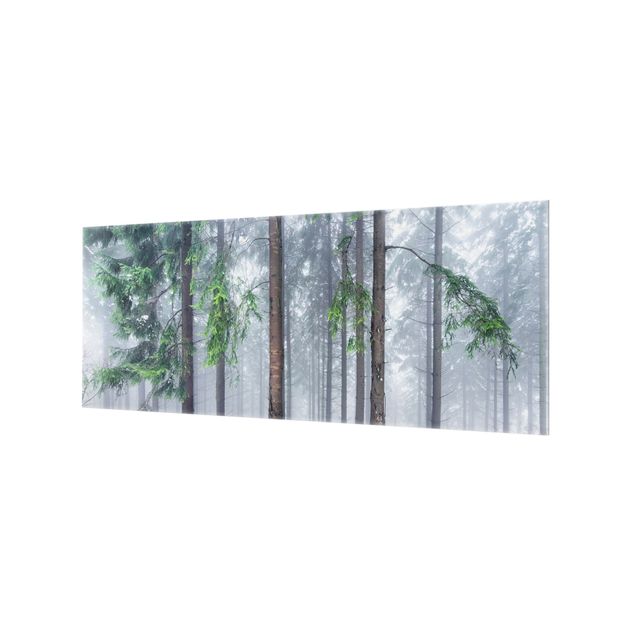 Splashback - Conifers In Winter - Panorama 5:2