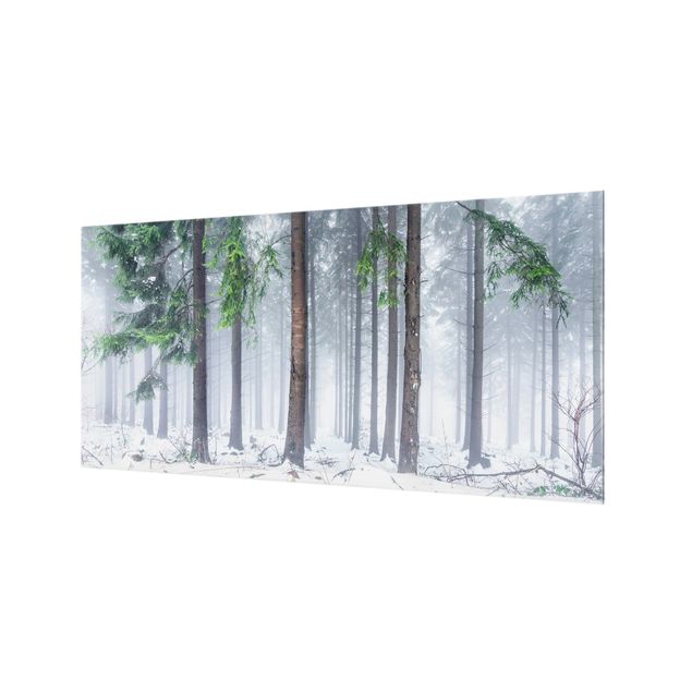 Splashback - Conifers In Winter - Landscape format 2:1