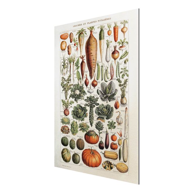 Print on aluminium - Vintage Board Vegetables
