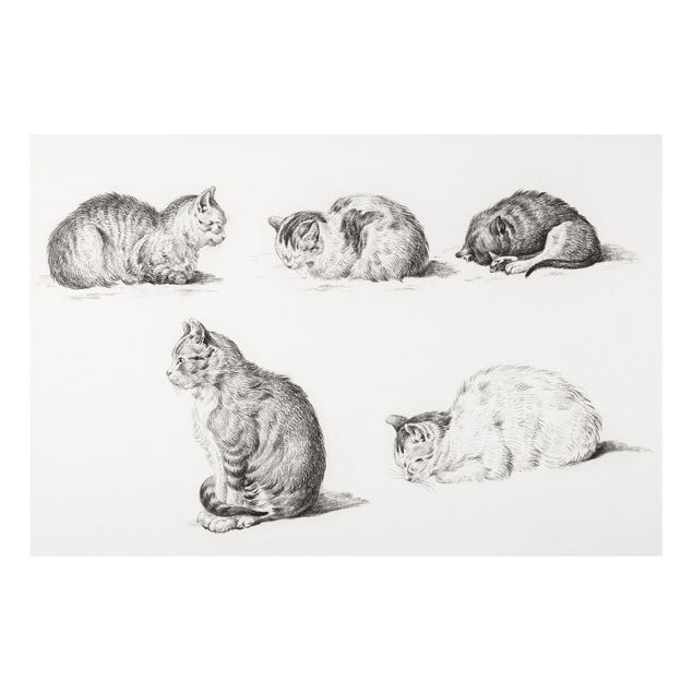 Print on forex - Vintage Drawing Cat I