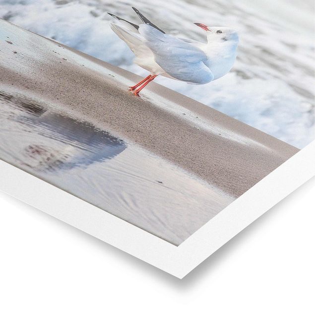 Poster - Seagull On The Beach In Front Of The Sea