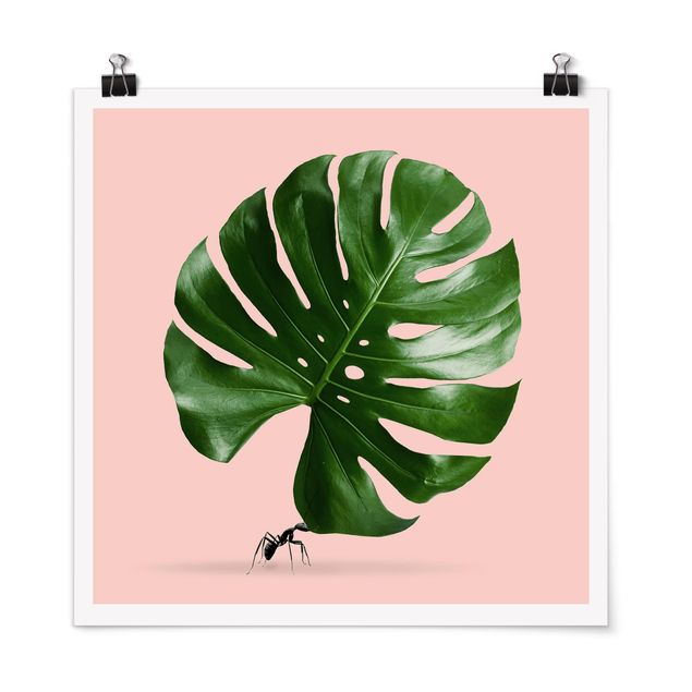 Poster - Ant With Monstera Leaf