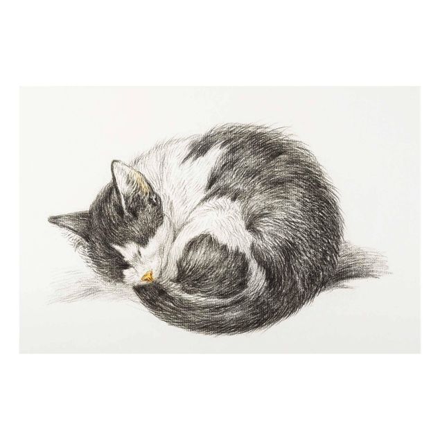Glass print - Vintage Drawing Cat II