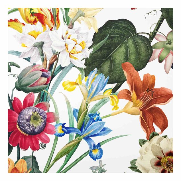 Splashback - Colourful Magnificent Flowers - Square 1:1
