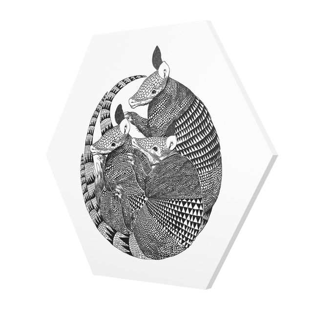Forex hexagon - Illustration Armadillos Black And White Pattern