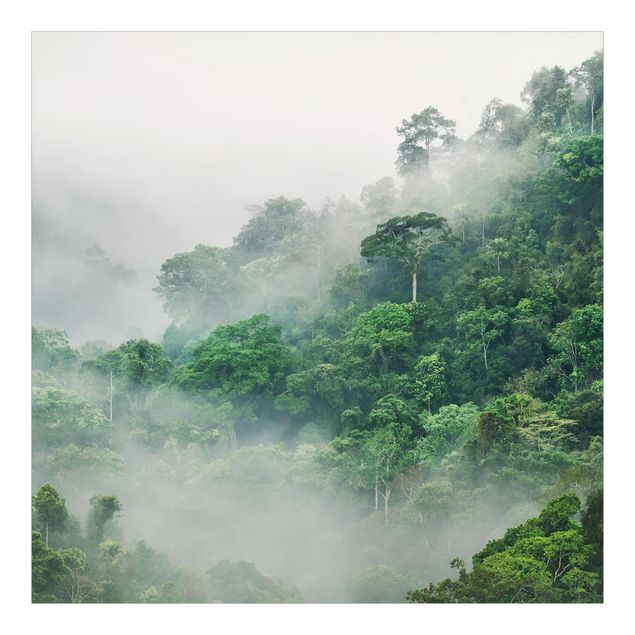 Wallpaper landscape - Jungle In The Fog