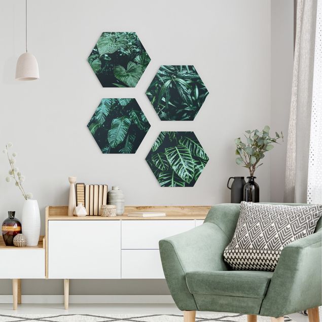 Forex hexagon - Tropical Plants
