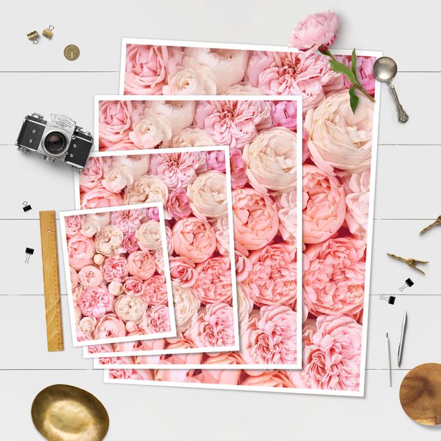 Poster - Roses Rosé Coral Shabby