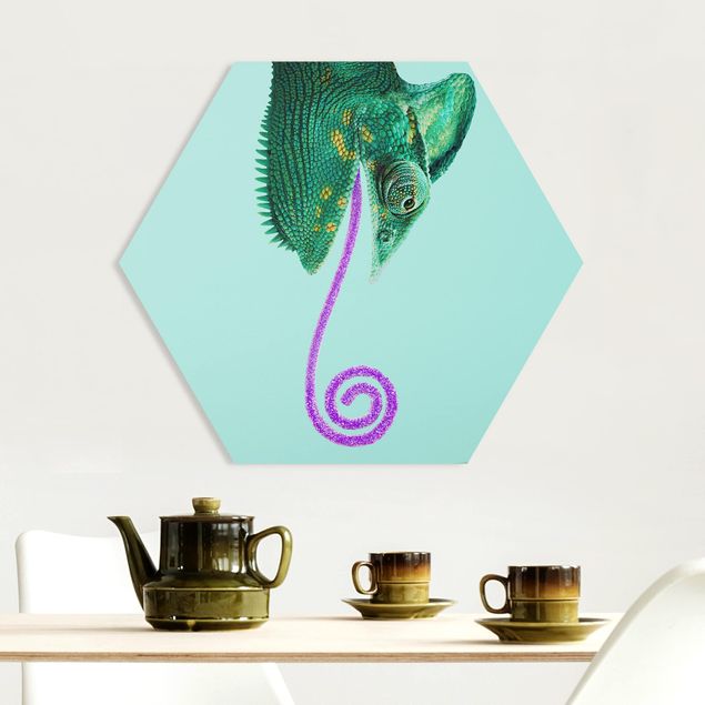 Forex hexagon - Chameleon With Sugary Tongue