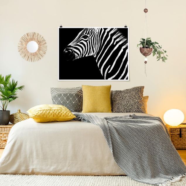 Poster - Zebra Safari Art