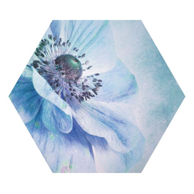 Forex hexagon - Flower In Turquoise