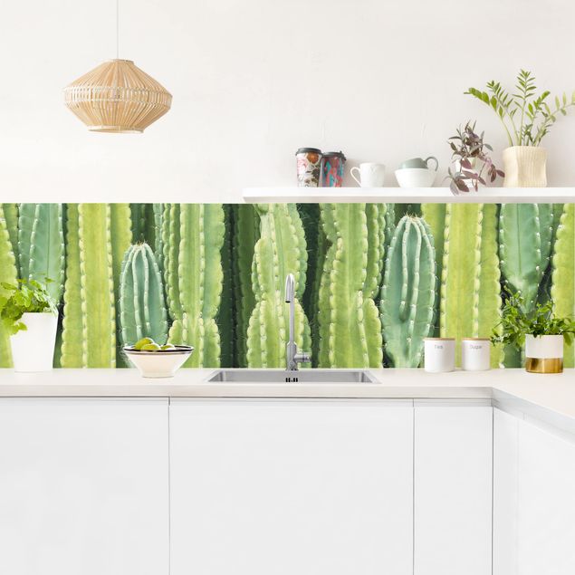 Splashback Cactus Wall