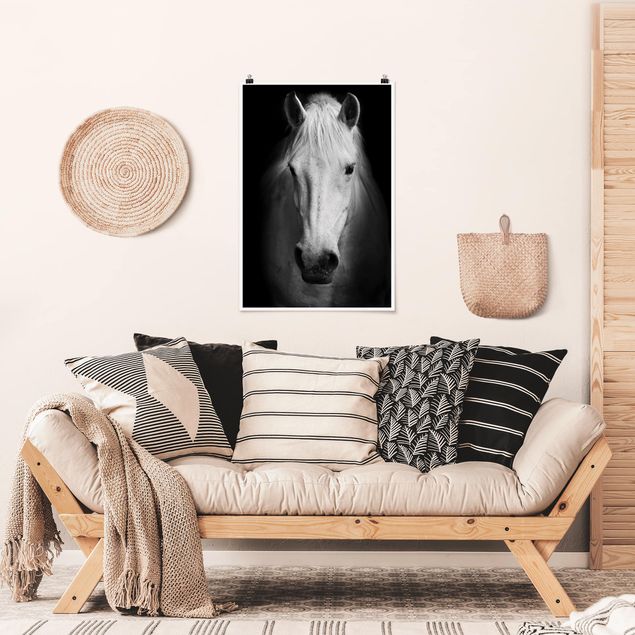 Poster - Dream Of A Horse