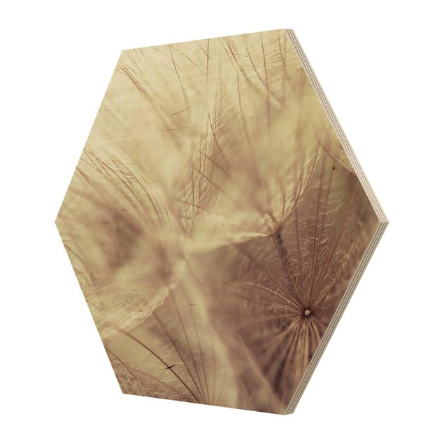 Wooden hexagon - Detailed Dandelion Macro Shot With Vintage Blur Effect