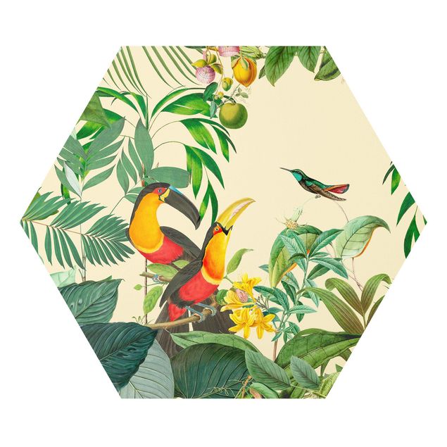 Hexagon Picture Forex - Vintage Collage - Birds In The Jungle