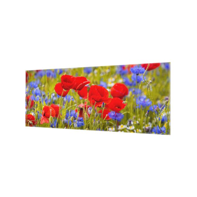 Splashback - Summer Meadow With Poppies And Cornflowers