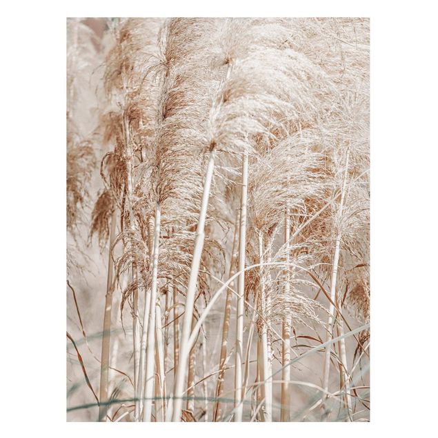 Magnetic memo board - Warm Pampas Grass In Summer