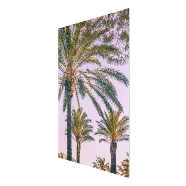 Print on forex - Palm Trees At Sunset
