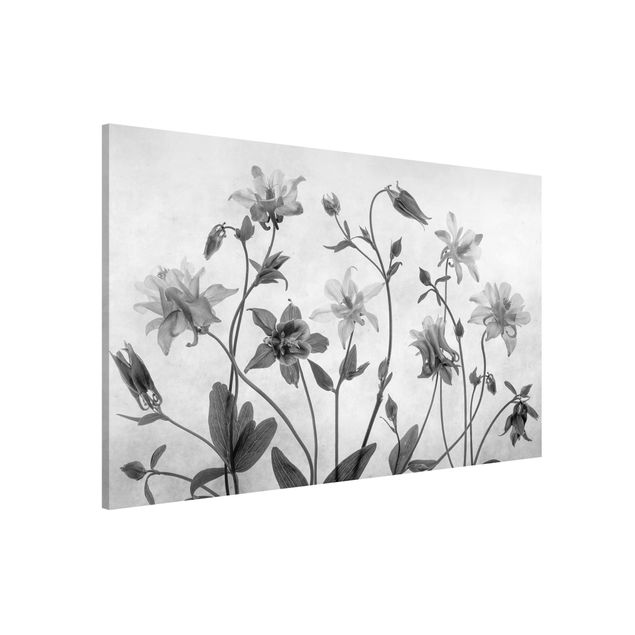 Magnetic memo board - Forest Aquilegia Black And White