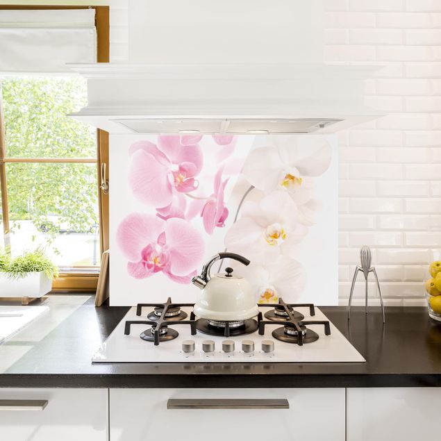 Glass splashback kitchen Delicate Orchids
