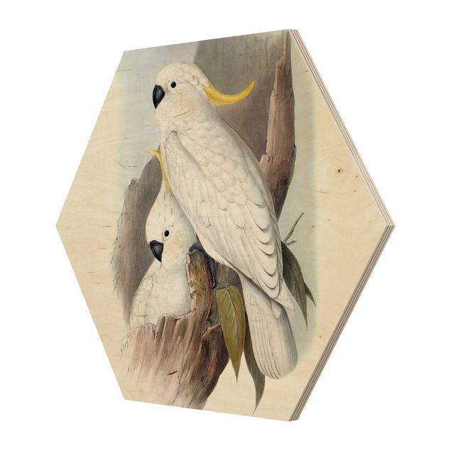 Wooden hexagon - Pastel Parrots III