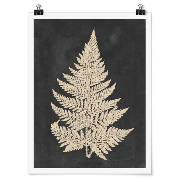 Poster flowers - Fern With Linen Structure I