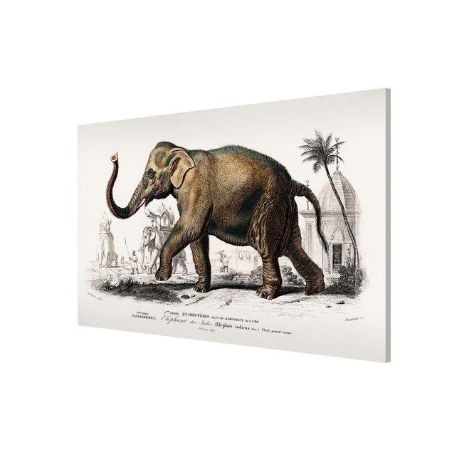 Magnetic memo board - Vintage Board Elephant
