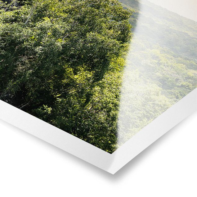 Panoramic poster nature & landscape - Pyramid of Calakmul